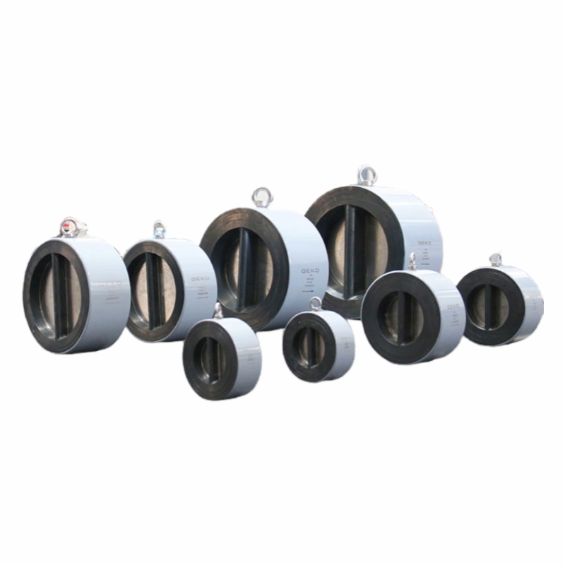 Dual Plate Check Valve with dual semicircular plates